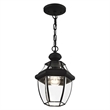 Beaumont Lane Contemporary Brass 1 Light Black Outdoor Lantern