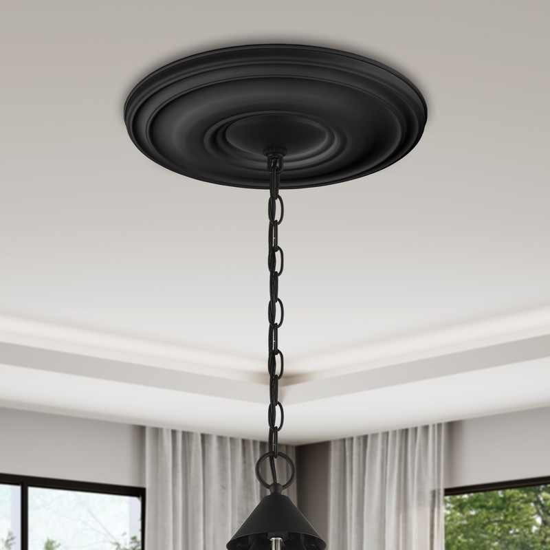 Beaumont Lane Contemporary Steel Ceiling Medallion in Black Finish