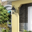 Beaumont Lane Contemporary Brass Outdoor Wall Lantern in Black