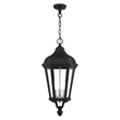 Beaumont Lane Contemporary 3 Light Outdoor Hanging Lantern in Textured Black