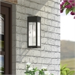 Beaumont Lane Transitional 1-Light Stainless Steel Outdoor Wall Lantern in Black