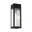 Beaumont Lane Transitional 1-Light Stainless Steel Outdoor Wall Lantern in Black