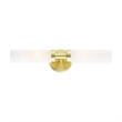 Beaumont Lane 2-Light Glass & Metal ADA Vanity Sconce in Satin Brass