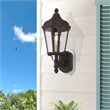 Beaumont Lane Contemporary Aluminum Outdoor Wall Lantern in Bronze