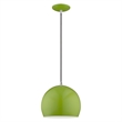 Beaumont Lane Modern 1-Light Metal Single Pendant with Shade in Apple Green