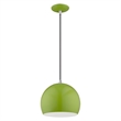 Beaumont Lane Modern 1-Light Metal Single Pendant with Shade in Apple Green