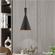 Beaumont Lane Contemporary 1-Light Metal Single Pendant in Black