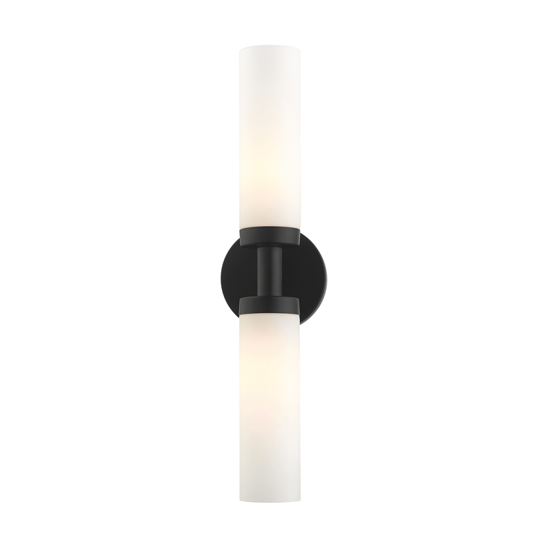 Beaumont Lane Contemporary 2-Light Glass & Metal ADA Vanity Sconce in Black