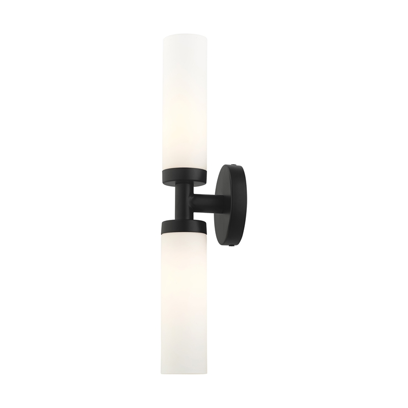 Beaumont Lane Contemporary 2-Light Glass & Metal ADA Vanity Sconce in Black
