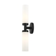 Beaumont Lane Contemporary 2-Light Glass & Metal ADA Vanity Sconce in Black