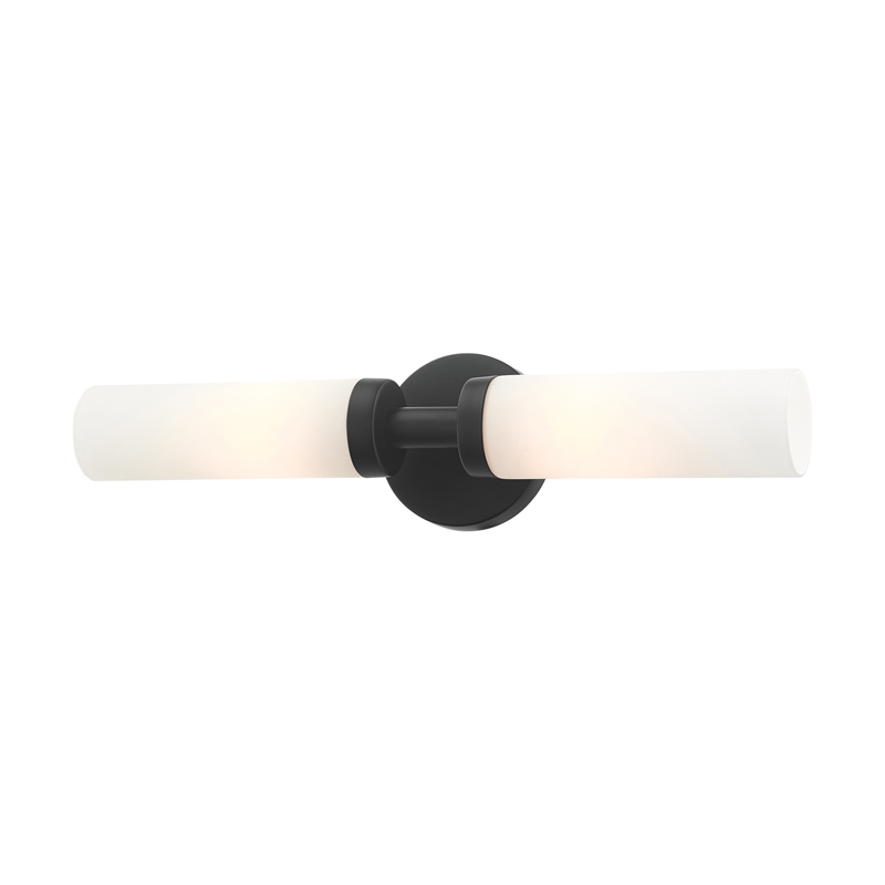 Beaumont Lane Contemporary 2-Light Glass & Metal ADA Vanity Sconce in Black
