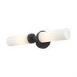 Beaumont Lane Contemporary 2-Light Glass & Metal ADA Vanity Sconce in Black