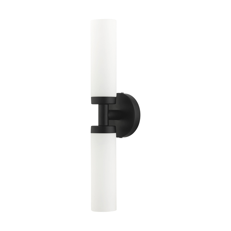 Beaumont Lane Contemporary 2-Light Glass & Metal ADA Vanity Sconce in Black