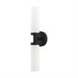 Beaumont Lane Contemporary 2-Light Glass & Metal ADA Vanity Sconce in Black