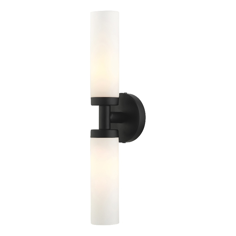 Beaumont Lane Contemporary 2-Light Glass & Metal ADA Vanity Sconce in Black