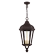 Beaumont Lane Contemporary 3 Light Outdoor Hanging Lantern in Bronze