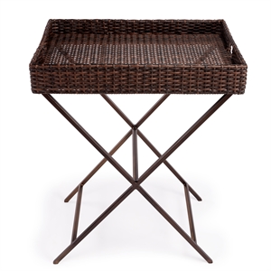 Beaumont Lane Metal Traditional Rattan Tray Table in Dark Brown