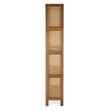 Beaumont Lane Modern Cane And Wood 4-Tier Etagere Bookcase in Brown