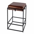 Beaumont Lane Transitional 26 in Seat Height Leather Counter Stool in Brown