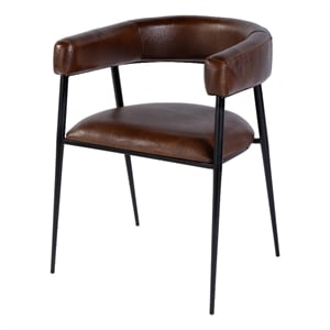 Beaumont Lane Transitional 19.5&quot Seat Height Leather Dining Chair in Brown