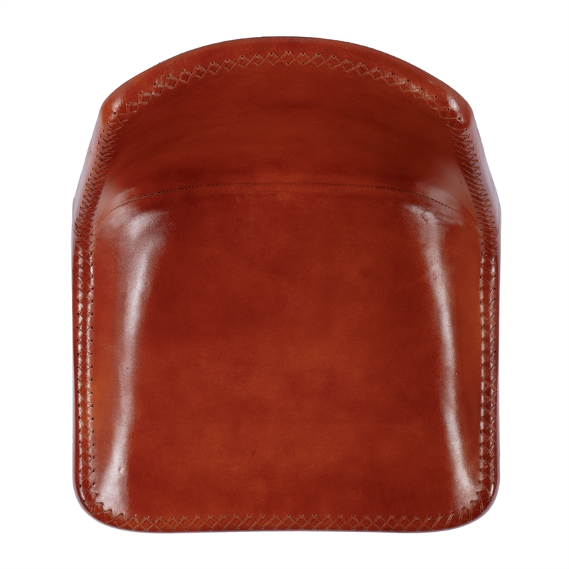 Beaumont Lane Contemporary Inland Brown Finish Leather Side Chair