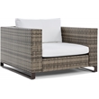 Tommy Hilfiger Oceanside Outdoor Arm Chair in Gray and Brown