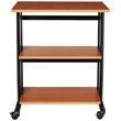 Scranton & Co Metal & Wood Mobile Machine Cart in Medium Oak/Black