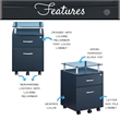 Scranton & Co 2 Drawer Wood Mobile File Cabinet in Graphite