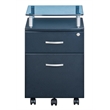 Scranton & Co 2 Drawer Wood Mobile File Cabinet in Graphite