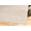 Scranton & Co Contemporary Wood Computer Desk in Chalked Chestnut