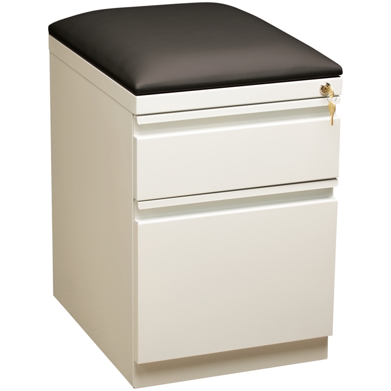 Scranton & Co 2-Drawer Metal Mobile Pedestal Filing Cabinet in White/Black