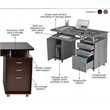 Scranton & Co Transitional Wood Computer Office Desk with Storage in Chocolate