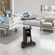 Scranton & Co Sit-to-Stand Rolling Laptop Cart with Storage in Graphite