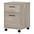 Scranton & Co 2 Drawers Contemporary Wood Mobile Pedestal in Gray