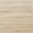 Scranton & Co Contemporary Wood Trestle Desk in Weathered White