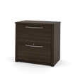 Scranton & Co 2 Drawer Lateral File Storage Cabinet in Dark Chocolate