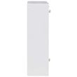 Scranton & Co Wall Mount Folding Floating Desk in White