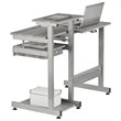 Scranton & Co Contemporary Engineered Wood Computer Desk in Gray