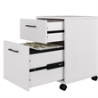 Scranton & Co 2 Drawers Contemporary Wood Mobile File Cabinet in Oak