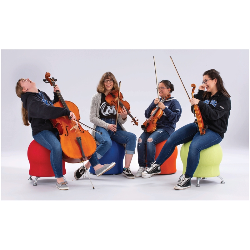 Scranton & Co Contemporary Seating Ball Chair in Black