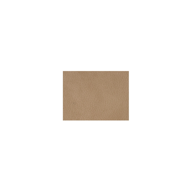 Scranton & Co Top Grain Leather Beige Home Office Chair Rectangular 42
