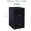 Scranton & Co 2 Piece Office Set with Filing Cabinet and Desk in Black
