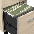 Scranton & Co Wood 60W x 30D Reception Desk with Drawers in Natural Elm