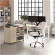 Scranton & Co Wood 60W x 30D Computer Desk with Storage in Natural Elm