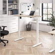 Scranton & Co Engineered Wood 48W Adjustable Standing Desk in Natural Elm