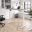 Scranton & Co Engineered Wood 60W Adjustable Standing Desk in Platinum Gray