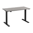 Scranton & Co Engineered Wood 48W Adjustable Standing Desk in Platinum Gray
