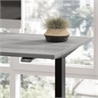 Scranton & Co Engineered Wood 48W Adjustable Standing Desk in Platinum Gray