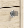 Scranton & Co Wood 2 Drawer Lateral File Cabinet with Lock in Natural Elm