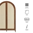 Scranton & Co 79-In Tall Rattan Arched Storage Cabinet in Walnut Finish